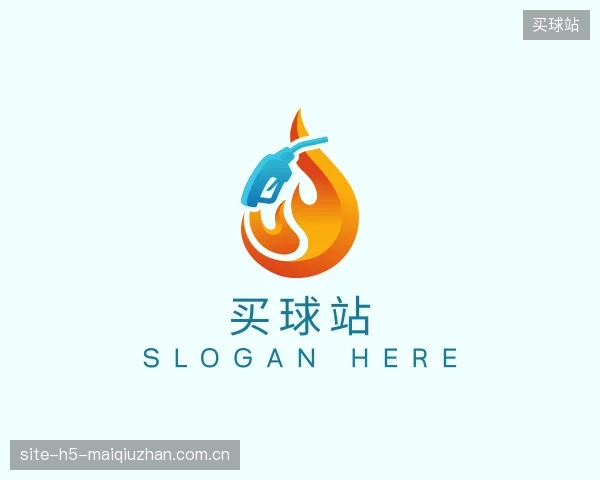 介绍买球站平台